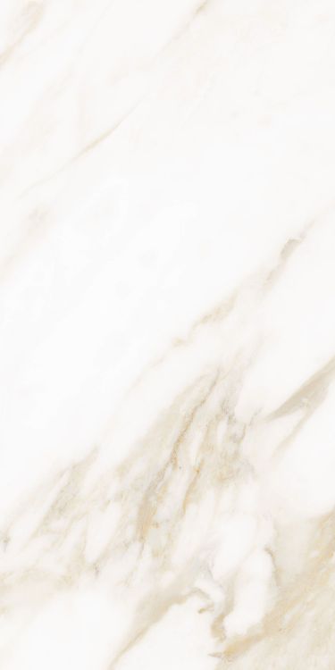 Classy Warm White Matte 12 x 24